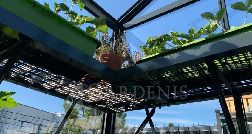Begine-lentyna-siltnamiui-rail-shelf-Gardenis-845x450 Skleník Gardenis - Juna