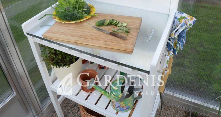 staliukas-agurkai-845x450 Skleník Gardenis - Juna
